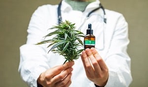 CBD & The Law